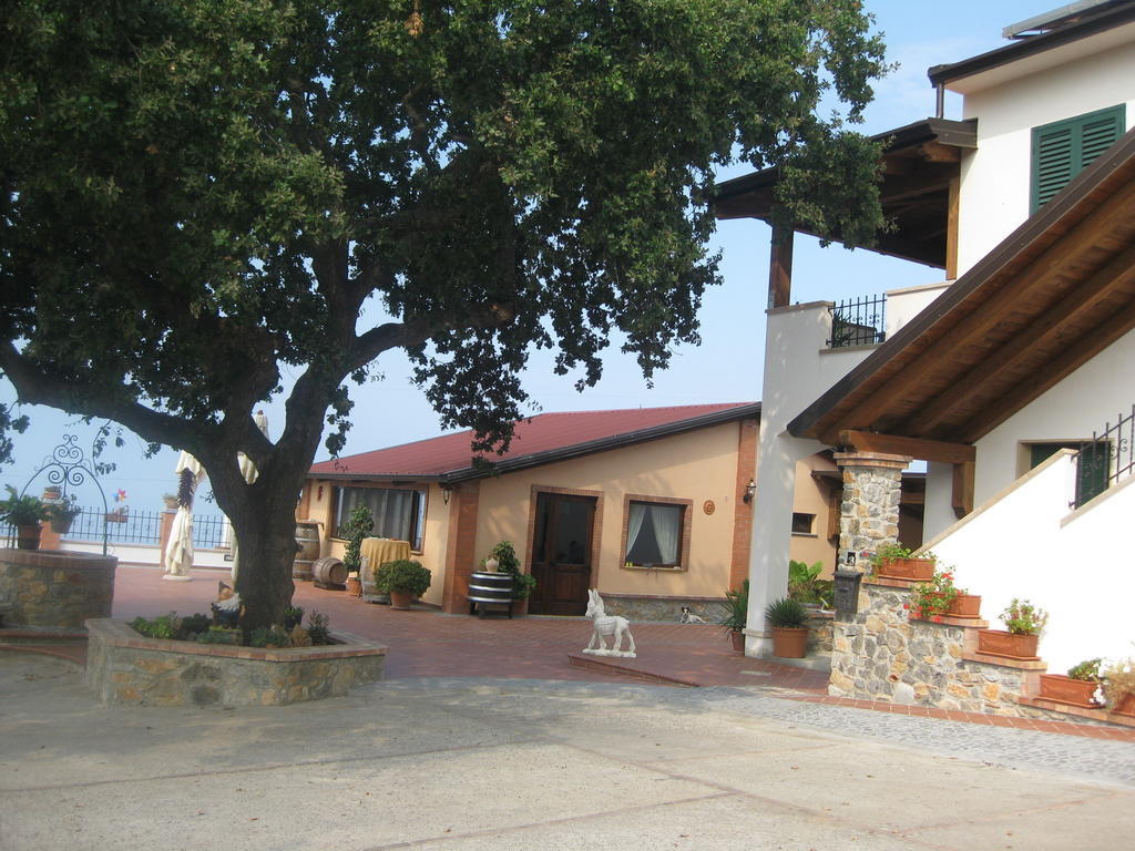 Agritursmo Montesalerno Villa Diamante Eksteriør billede